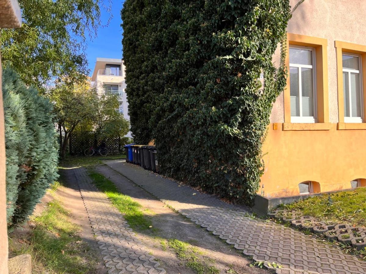 Gemutliche Oase - Tv, Beamer, Kuche Fur 4 Personen Appartement Dresden Buitenkant foto